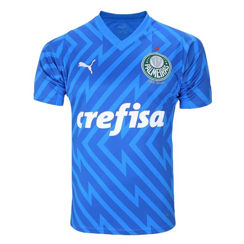 CAMISA DE GOLEIRO PUMA PALMEIRAS I 24/25 MASCULINA - TORCEDOR
