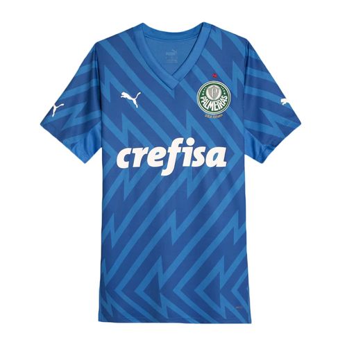 CAMISA DE GOLEIRO PUMA PALMEIRAS I 24/25 FEMININA - TORCEDORA