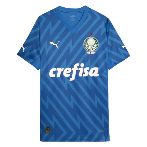 CAMISA DE GOLEIRO PUMA PALMEIRAS I 24/25 MASCULINA -JOGADOR