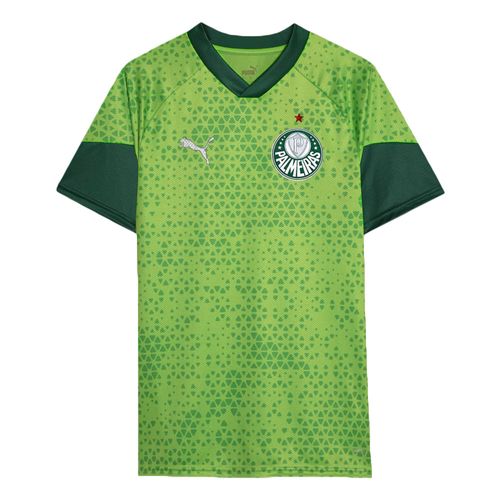 CAMISA DE TREINO E VIAGEM PUMA PALMEIRAS 2024 MASCULINA