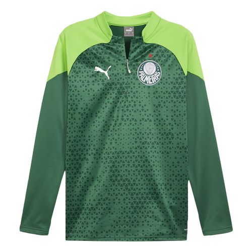 BLUSA DE TREINO PUMA PALMEIRAS FLEECE 2024 MASCULINA